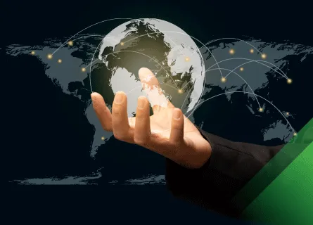 PEPPOL E-Invoicing Simplifying Global Trade PEPPOl PINT